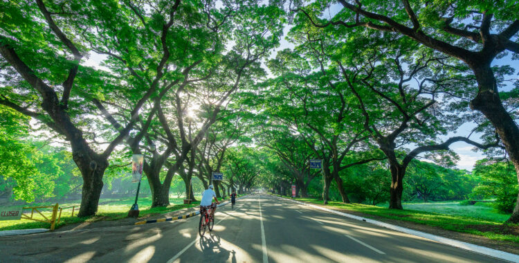 UP Diliman Campus photo by Pol Torrente